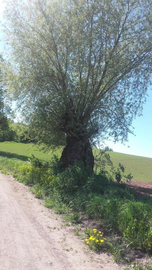 Domek Bialojany Εξωτερικό φωτογραφία